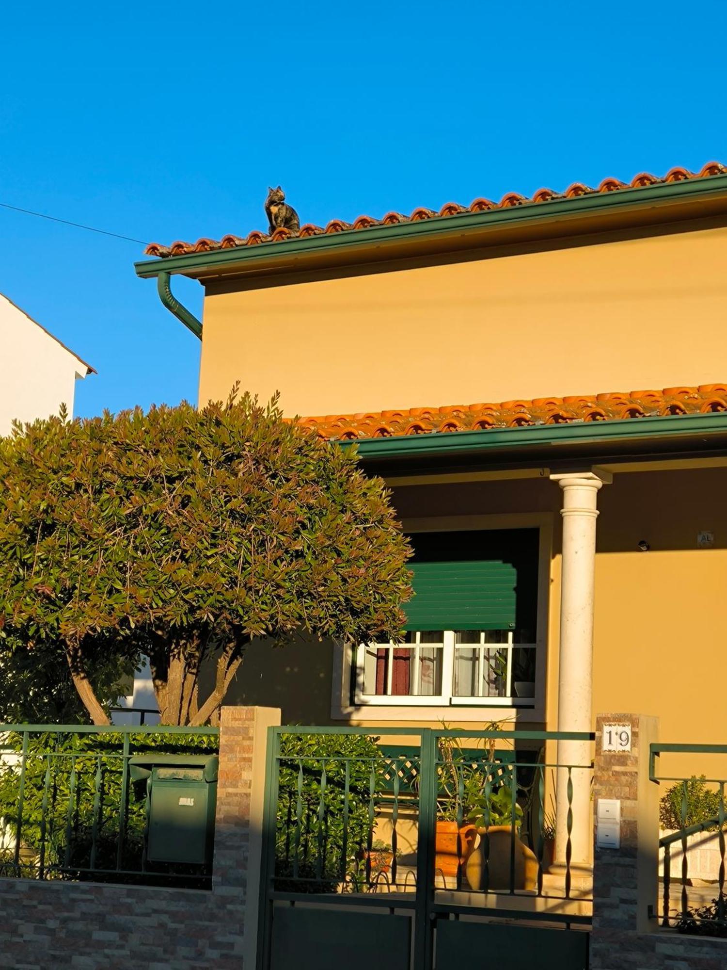 Villa Por A Mor Figueiro Dos Vinhos Habitación foto